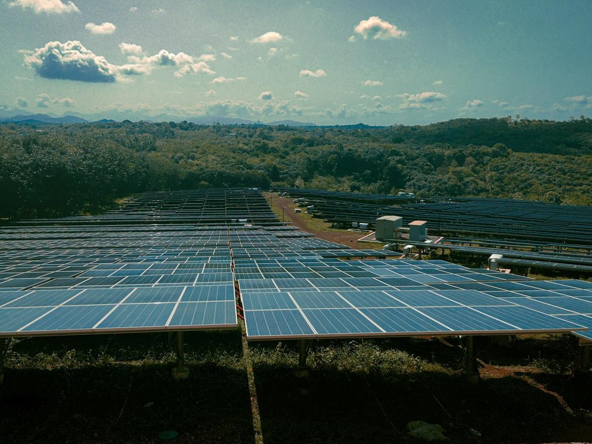 Large solar farm with rows of solar panels